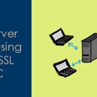 ssl client server example in c
